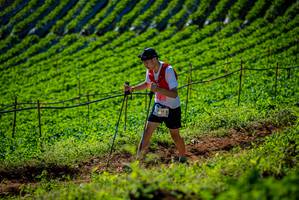 BIB: 
                            <button type="button" onclick="openModal(19161244)" class="btn btn-primary btn-sm float-right btn-popup" data-toggle="modal" data-target=".modal-high-quality">
                        <i class="fas fa-shopping-cart"></i> Add to Cart
                    </button>
                                            <button type="button" onclick="isThisMe(19161244, true)" class="btn btn-success btn-sm float-right btn-popup btn-isme hidden" data-toggle="tooltip" data-placement="bottom" title="นี่คือรูปของคุณใช่ไหม คลิกที่นี่เพื่อเอาเข้าอัลบั้ม">
                        <i class="fas fa-plus"></i> Add to album
                    </button>
                    <button type="button" onclick="isThisMe(19161244, false)" class="btn btn-warning btn-sm float-right btn-popup btn-isnotme hidden">
                        <i class="fas fa-ban"></i> Remove from album
                    </button>